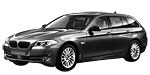 BMW F11 B25A4 Fault Code